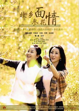 天衣无缝演员表介绍影视海报
